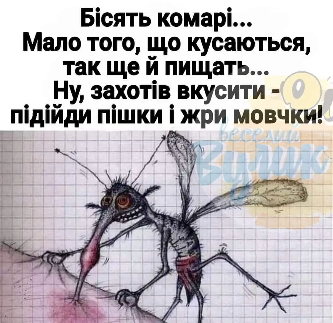 IMG-da7cd2b077964c79cc77fd31dfd908ec-V.webp