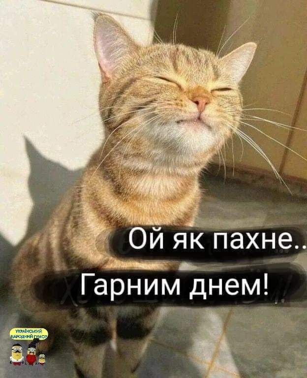 IMG-db966c21ba36df0996c45e69e13424b8-V.webp