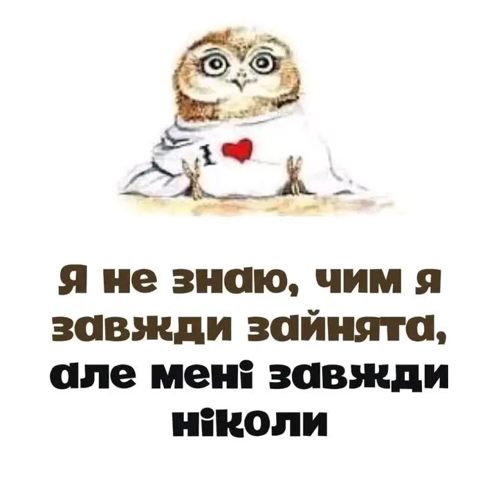 IMG-dbe71ccd00d9fc42b97e04f8f860177a-V.webp