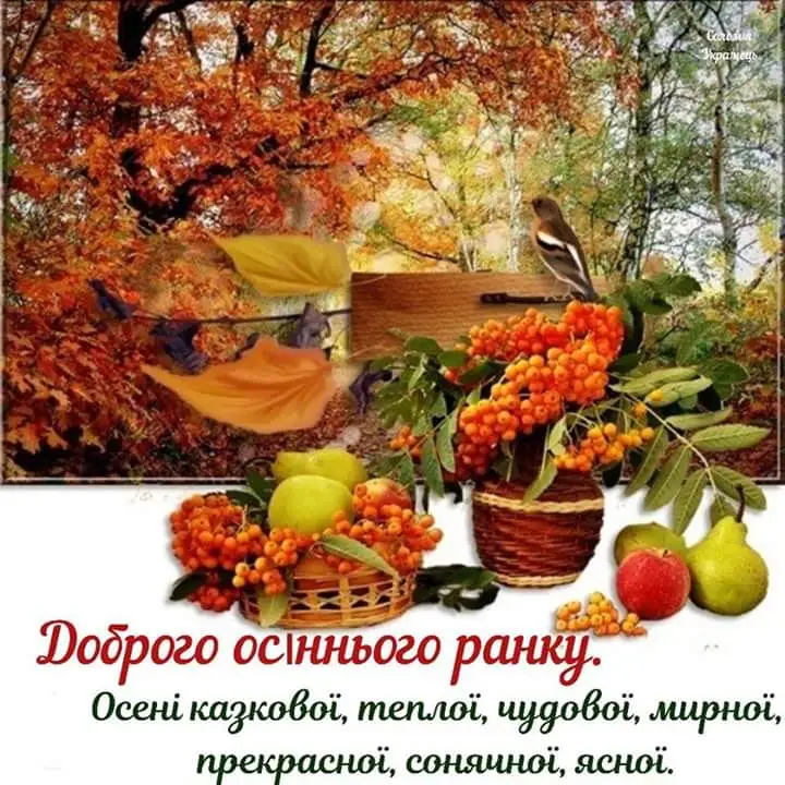 IMG-dc4996781d3cafc6eb4695ef70463eca-V.webp
