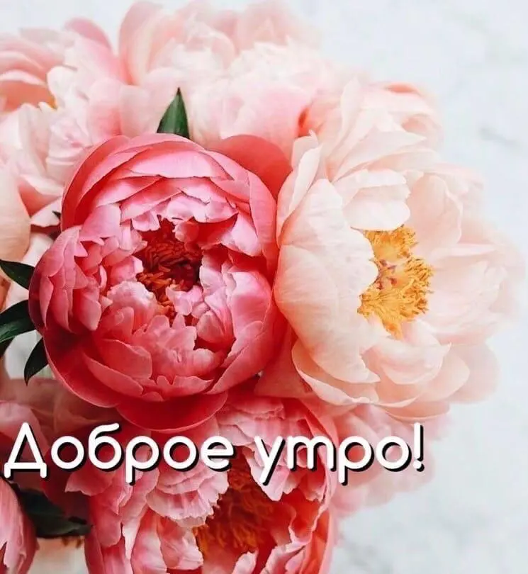 IMG-dc59fe574d942786c8718a5d65c314c4-V.webp