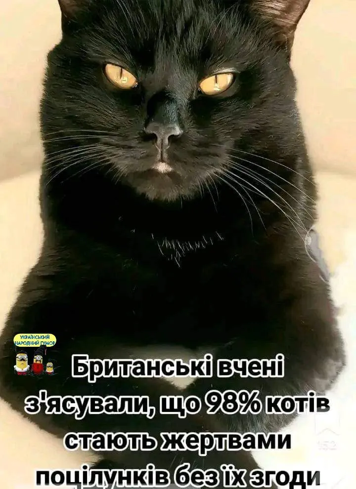 IMG-dc8961bb924eb0e78137a9d16434dac8-V.webp