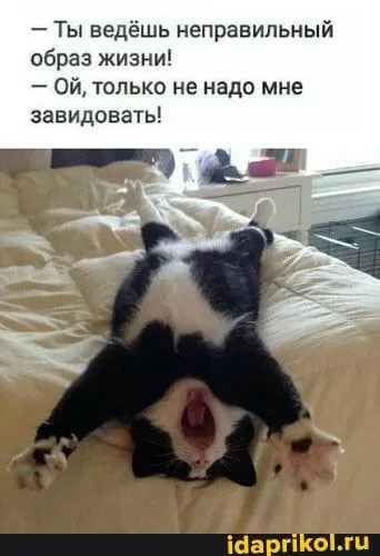 IMG-dcbc80ea6d2a91c8bf673250d0112651-V.webp
