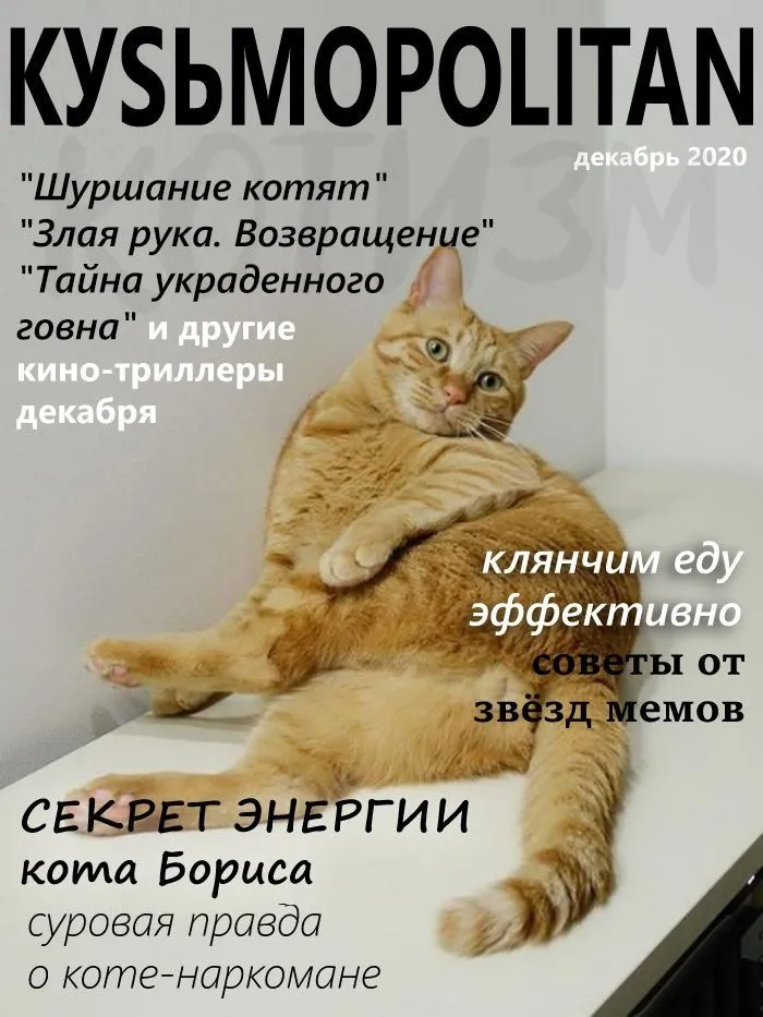 IMG-de2150501fd0581554213dc80f03dd7a-V.jpg