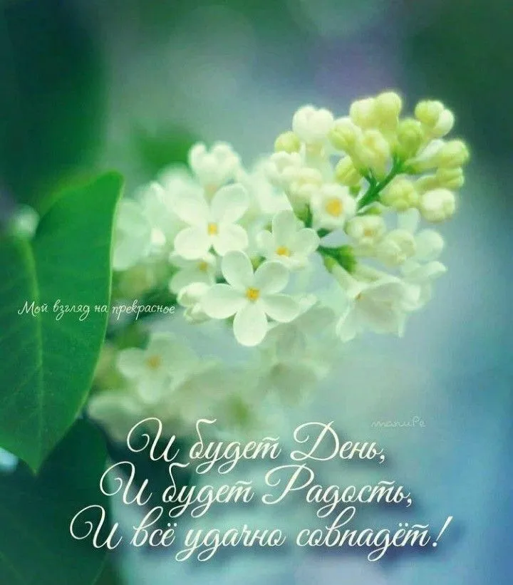 IMG-de5a4cce8ff3a86454fc2ef5142cb544-V.webp