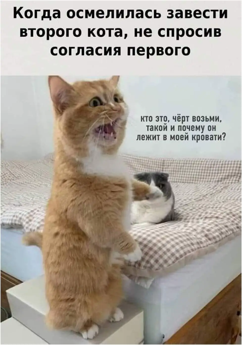 IMG-df1583c6ef2b741b1d4ef8abefa6ef93-V.webp