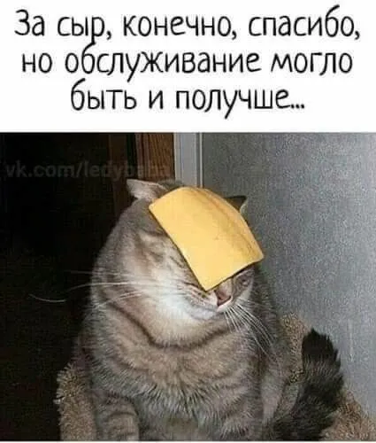 IMG-df319d0b604cace07f6ed29011b63f26-V.webp