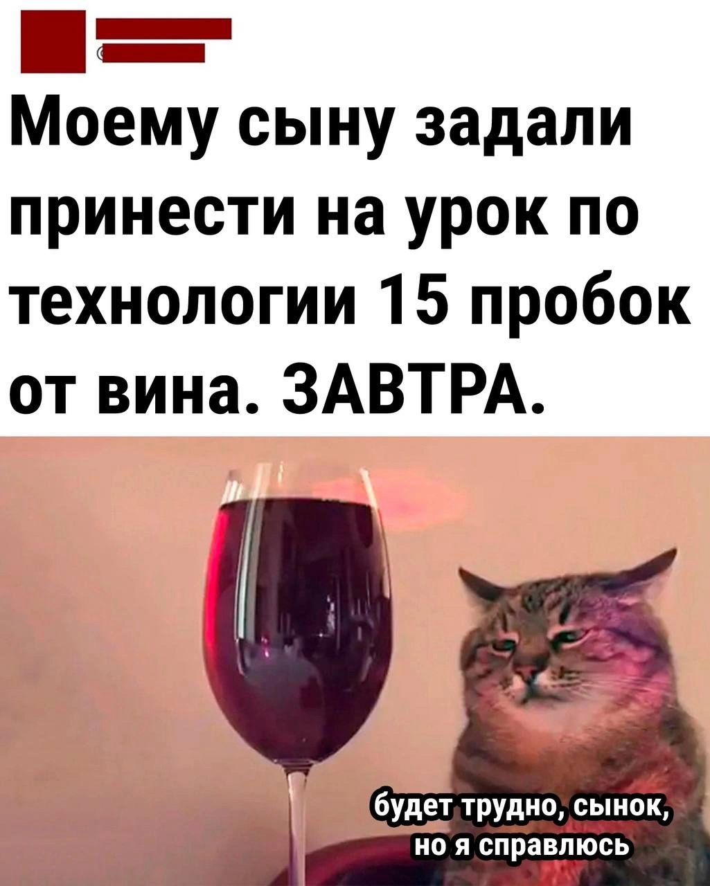 IMG-df9464138d204d8275f5b40b0513fada-V.webp