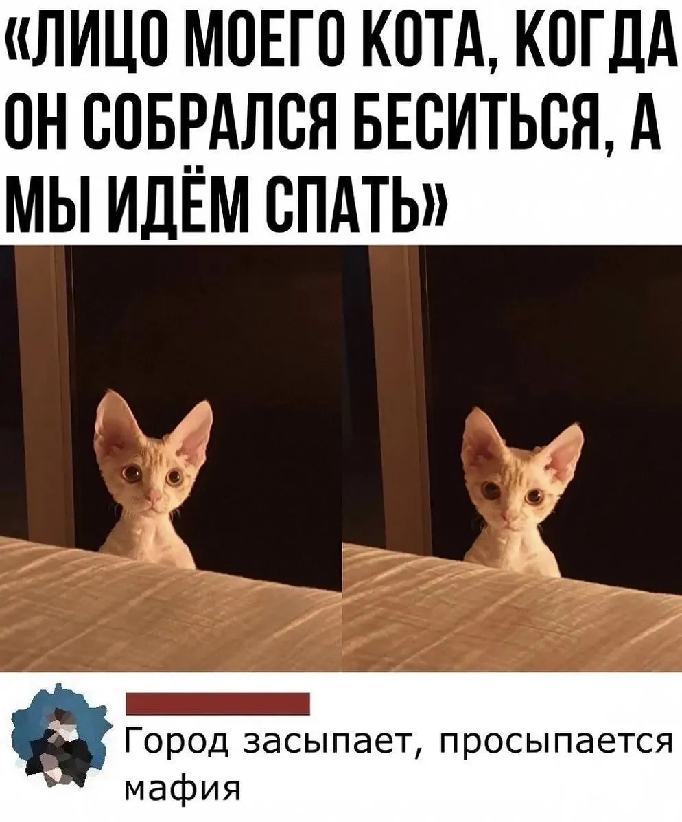 IMG-dfaf726a7f07aa9ada8b3af25b69ca1c-V.webp