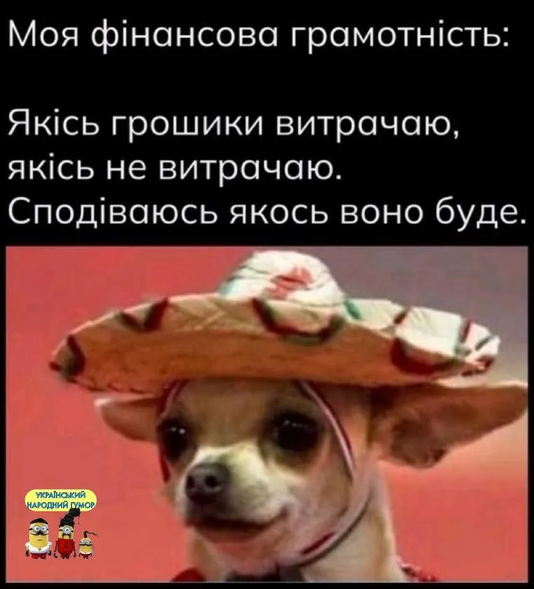 IMG-dfd5d0aceb9fca5b02d06da2be0dd3b3-V.webp