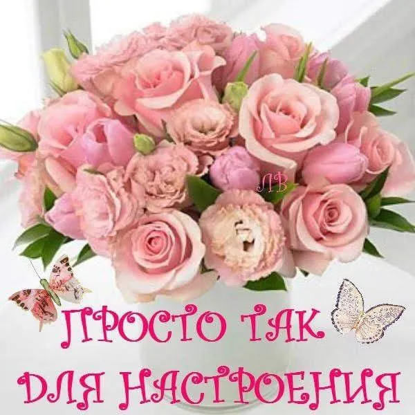 IMG-dffbe9f1fd808db2d4052e61a75c2161-V.webp