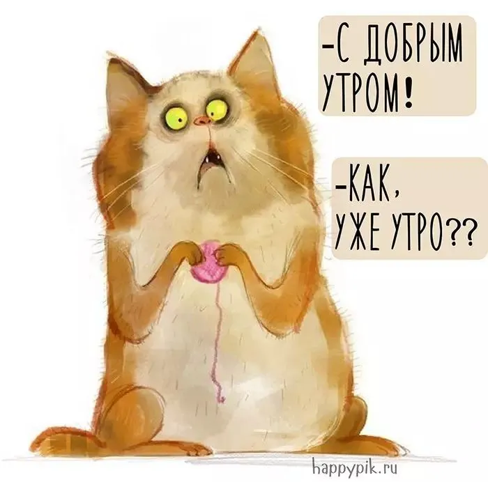 IMG-e08f83dd634a87509fab82965091cf7a-V.webp