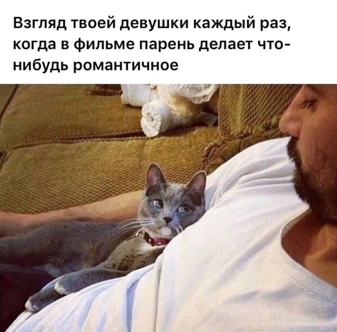 IMG-e13ab7a25696744b0ff53b8c7c160189-V.webp