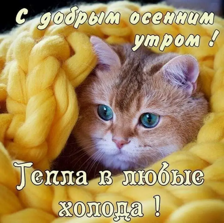 IMG-e1d59dc875d24d347a47d08221ce6a51-V.webp