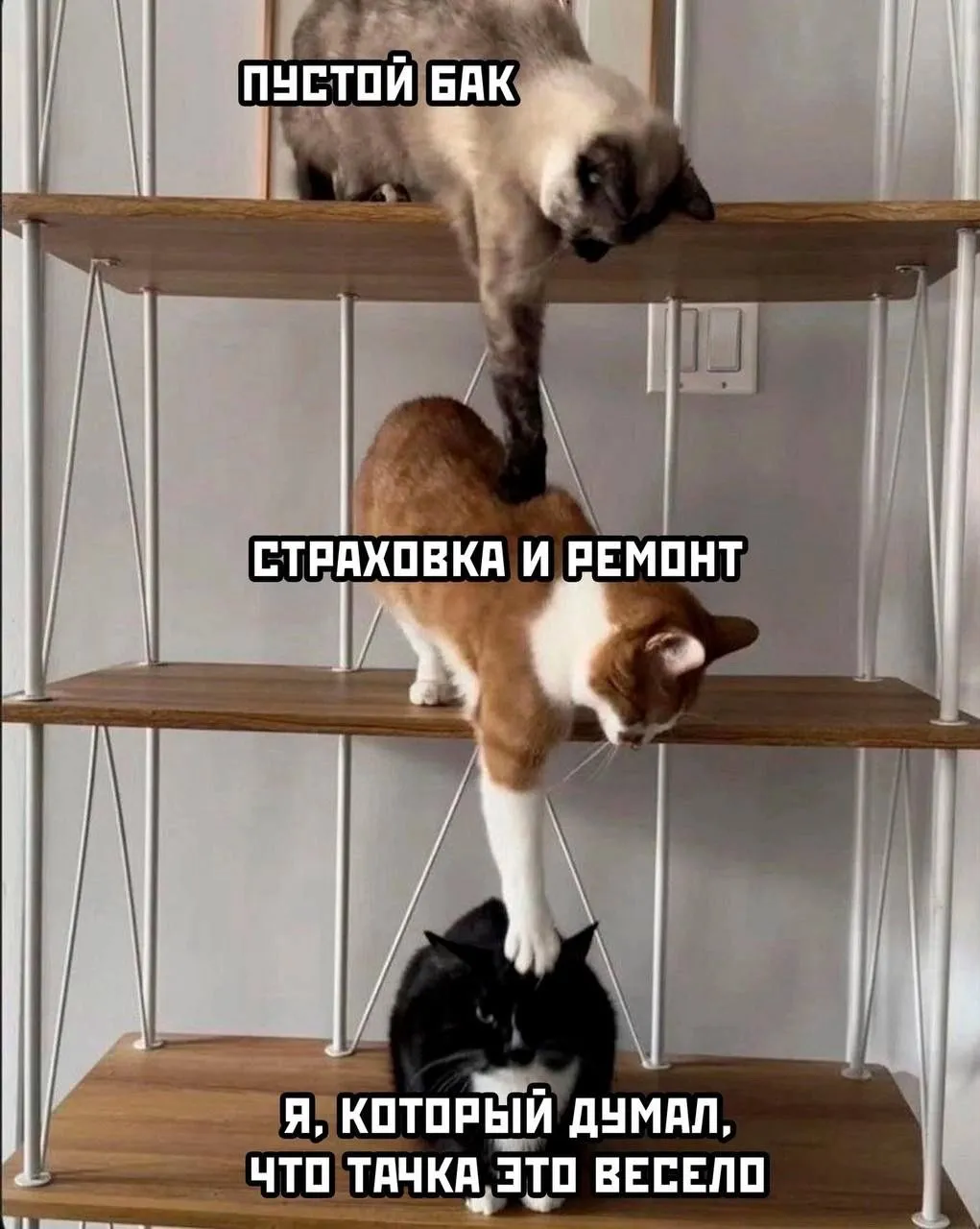 IMG-e1fde3406834788f34a441c1392a9f04-V.webp