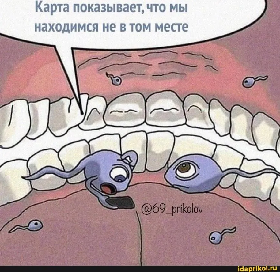 IMG-e23cfe574124970de3c6c80290fc5f2b-V.webp
