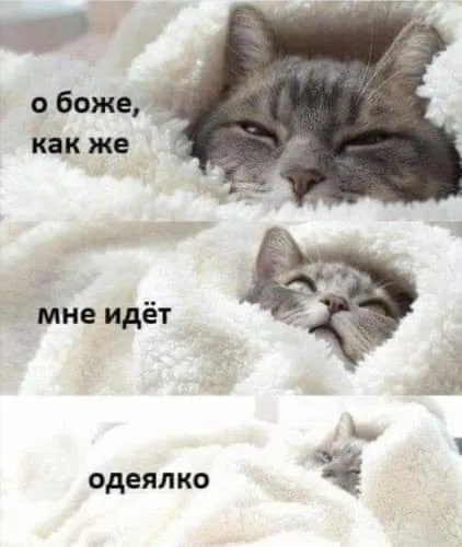IMG-e2aa8672052374056db5df1e8e30fe22-V.webp