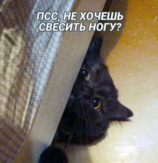 IMG-e35a6299b93d9b2b255fa6e26ee4a9dc-V.webp