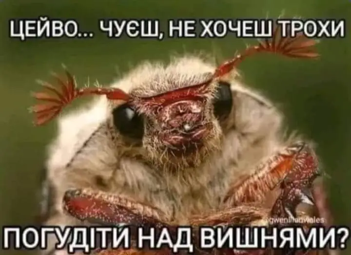 IMG-e37f894ea610249396df6908ed199c76-V.webp