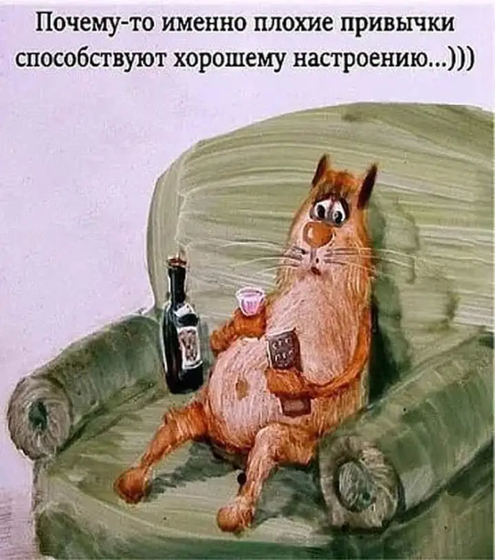 IMG-e381a7c76c3820923d565c5c75c60ff2-V.webp