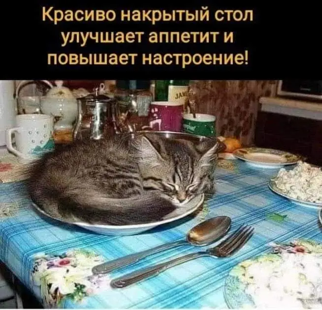IMG-e3da6f7df86481606c01c2d6a4ccb1e9-V.webp