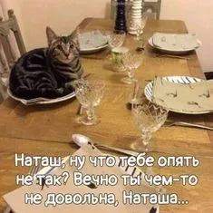 IMG-e4405cf0a531c8f935c10f9b578c9c90-V.webp