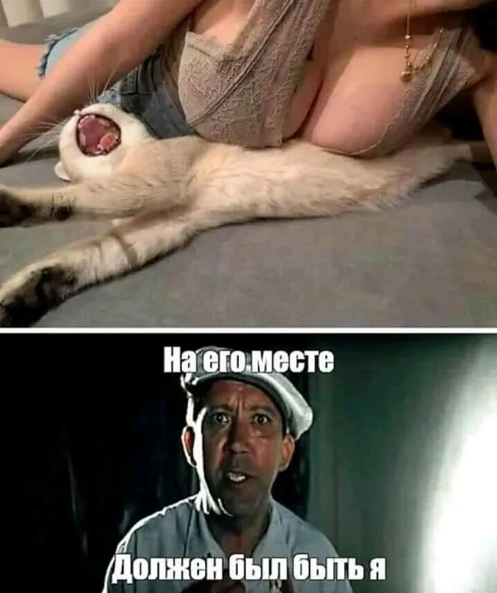 IMG-e47a07a60e3a5318a03c37a4c958a72d-V.webp