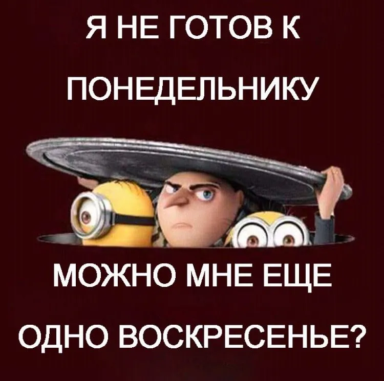 IMG-e5136c7c4da9f90b1e099fd49f877375-V.webp