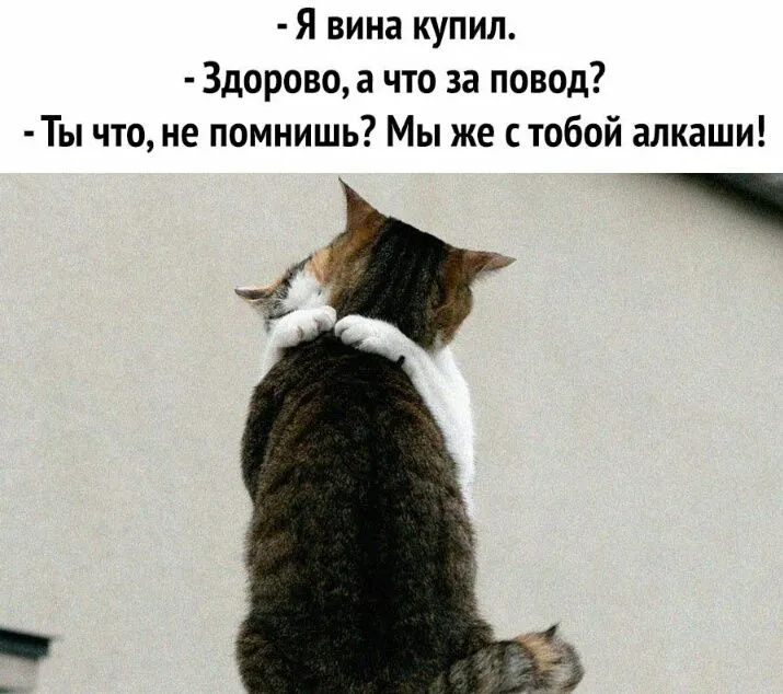 IMG-e51da6ea643d185b1e00ec7430b08718-V.webp