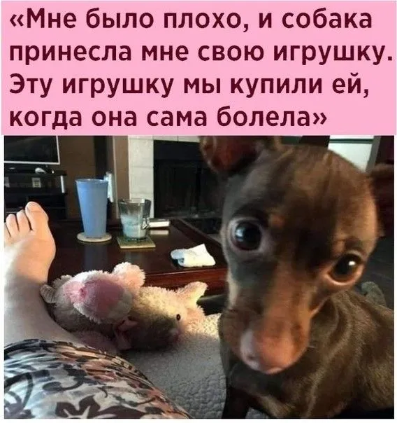 IMG-e5a07afdee4cfaa3a74dc83c429a686c-V.webp