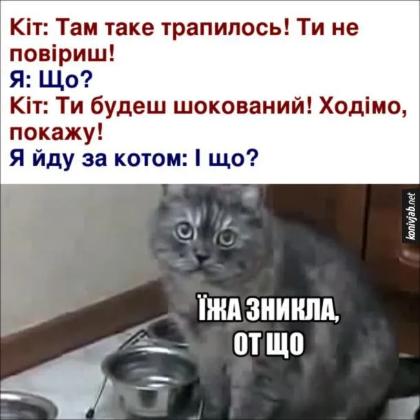 IMG-e73e749e6d89463e4c890bc786c4e4a7-V.webp