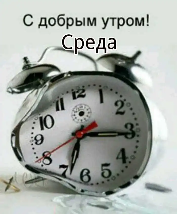 IMG-e77ab624440e68562e757cb94020c18c-V.webp