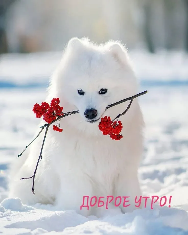 IMG-e781a919fd9f4f7e9caa93691af73ece-V.webp