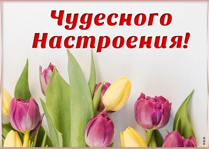 IMG-e7e2643a391d01ea044def94d2d134ef-V.webp