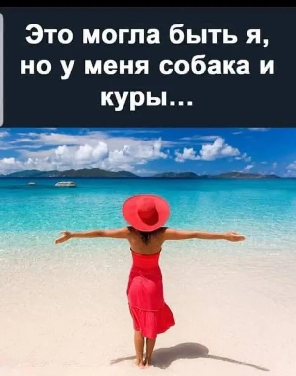 IMG-e9e2f15cfdeeb38bc633ed6c4528dbbc-V.webp