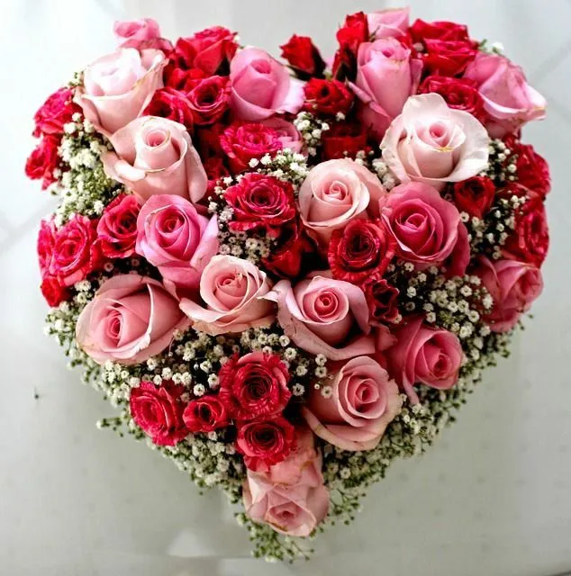 IMG-ea28619a1201e9135b925b066da5d1e0-V.webp