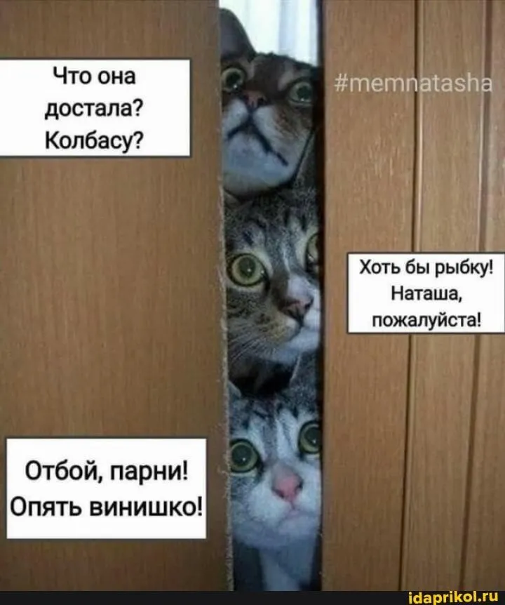 IMG-eaccb6047a53c4d989dfcdaf36b3df29-V.webp