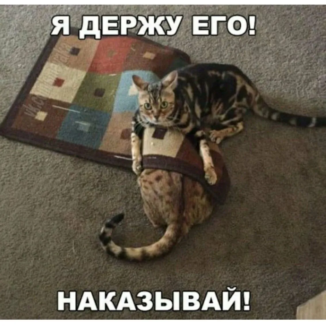 IMG-eaeb2053c96d886239506f5c95c11915-V.webp