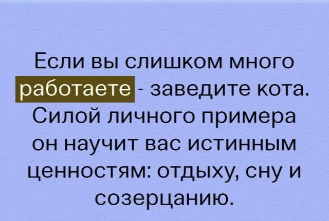 IMG-eb7c1fc06e0c60b1cbd72dd2b494a0b3-V.webp
