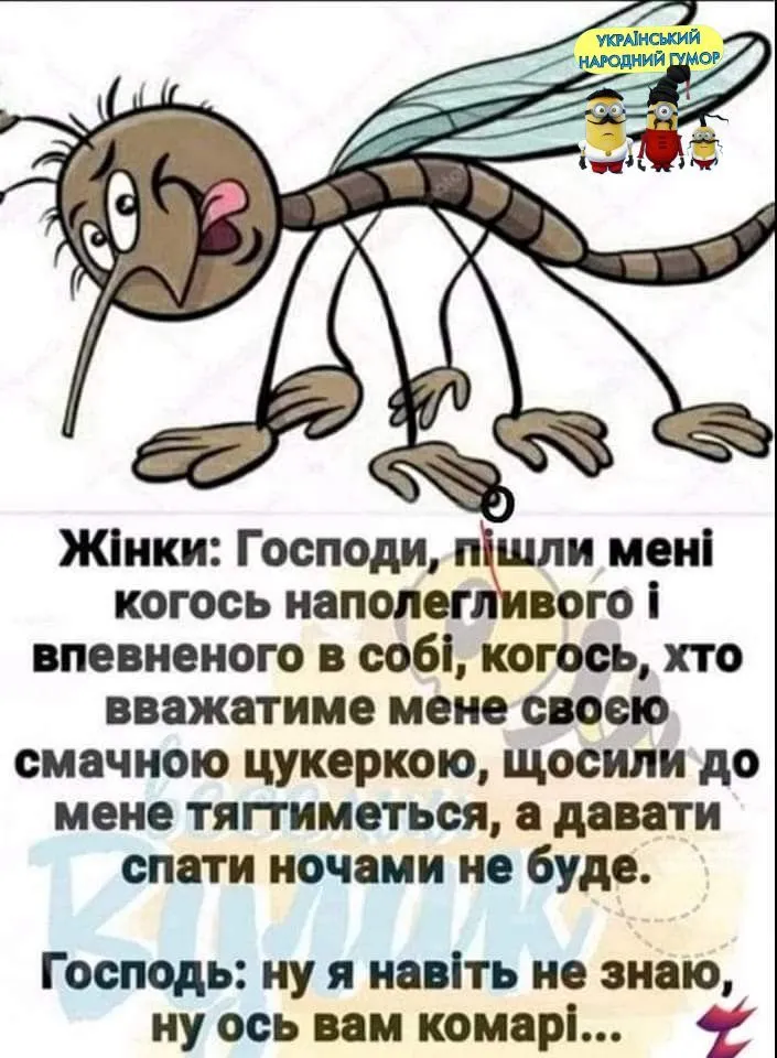 IMG-ed319eba8d8d5255566e0e7de38217c8-V.webp