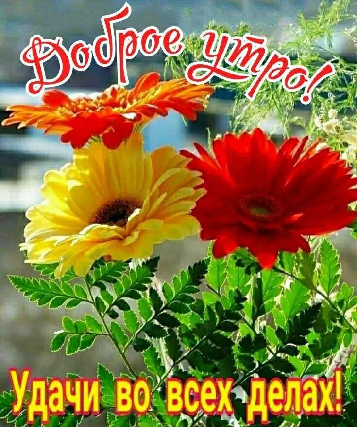 IMG-ed4ec00f3423d3fe42d8b7fbb1e52cb3-V.webp