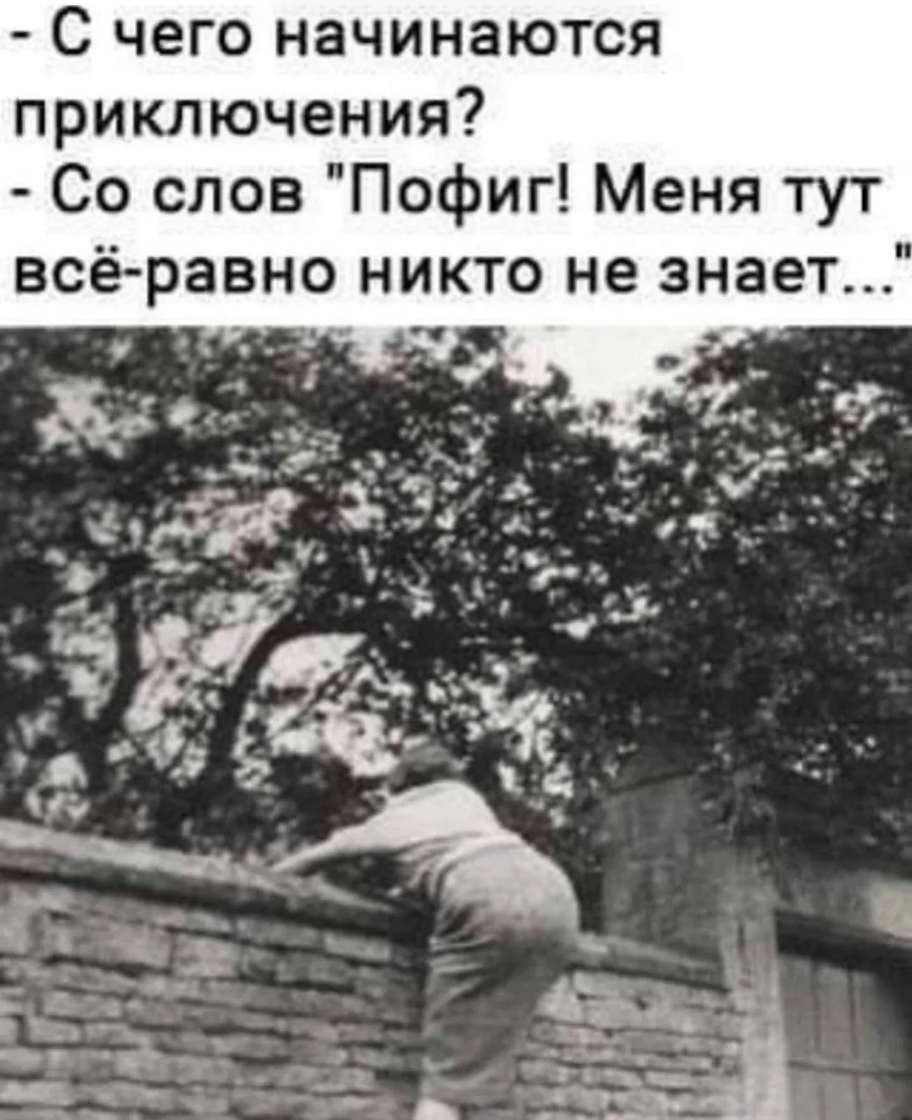 IMG-ed922549b041220b8acd346a5373d9fc-V.webp