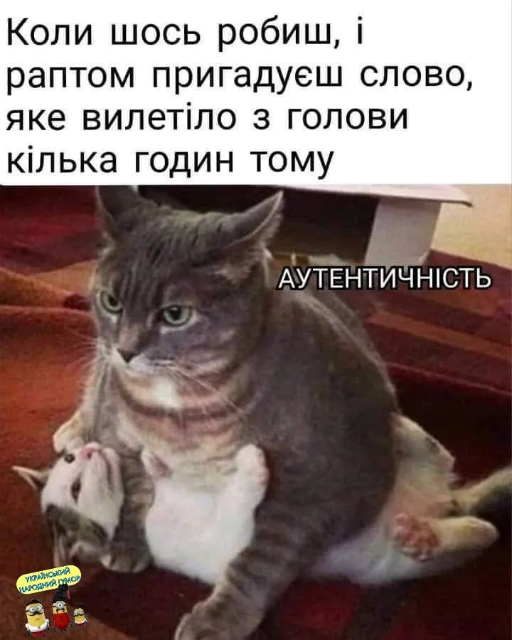 IMG-edb316b8c70c0bf4ea7dafbbefd92b0a-V.webp
