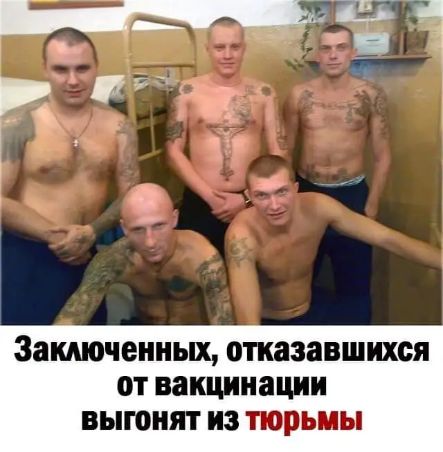 IMG-edba666cc498f4a8282133e912ed8bf5-V.webp
