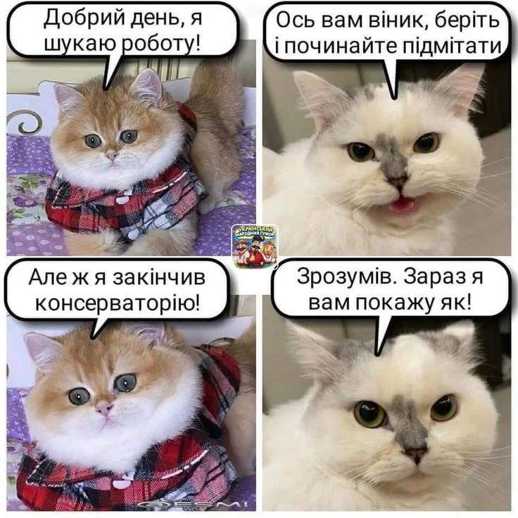 IMG-edd44f30608a7575a7bf7c982dd2473b-V.webp