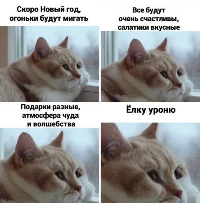 IMG-edf587c696d7a1773ed497dca61c3d8a-V.webp