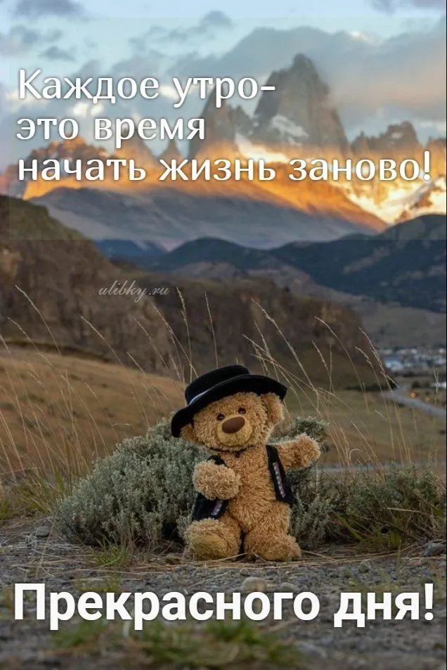 IMG-ee0d464fb6814407e9c7fa3d2e766e9f-V.webp