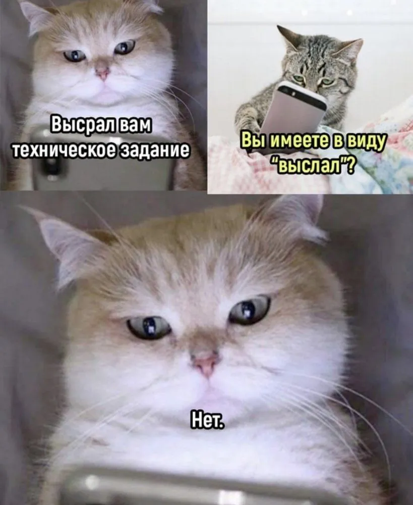 IMG-f0ea1c9488f176bc8f864694242fcd7d-V.webp