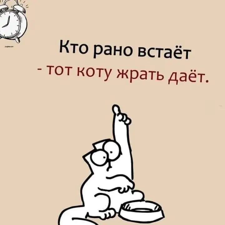 IMG-f191dfdf67cb9621416ca95565581d35-V.webp