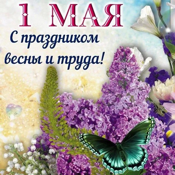 IMG-f1d984c4ab3da2d5469547a53adb017b-V.webp